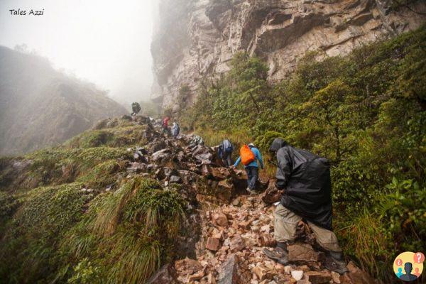 Trekking au Monte Roraima