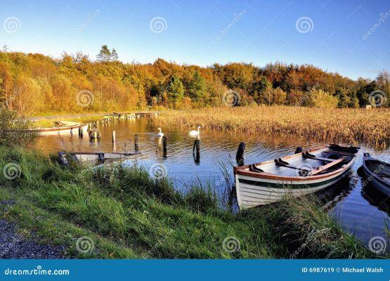 Ennell lake photo