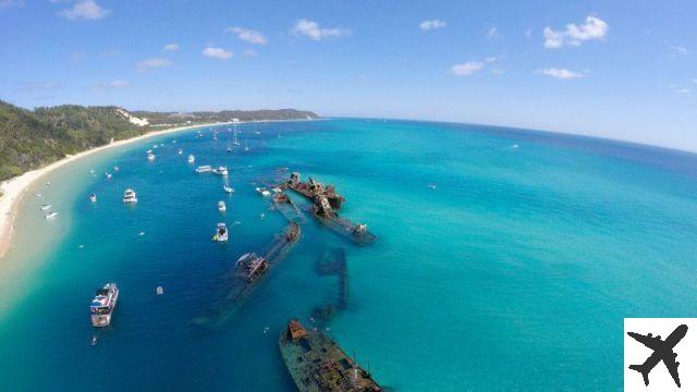 Moreton Island in Australia – Guida di viaggio