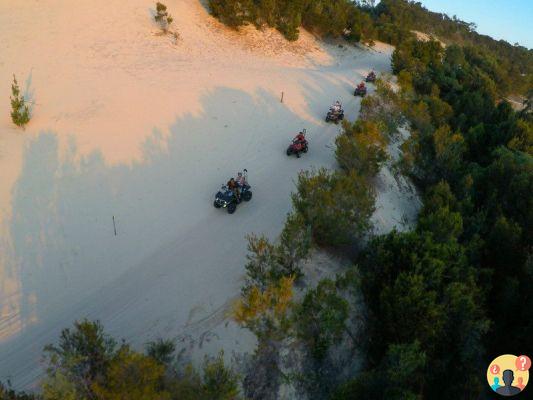 Moreton Island en Australie – Guide de voyage