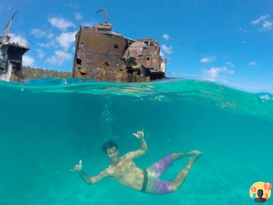 Moreton Island en Australie – Guide de voyage