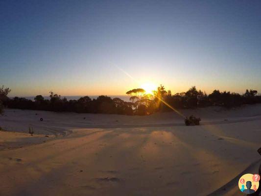 Moreton Island in Australia – Guida di viaggio