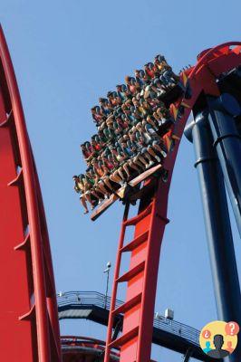 Busch Gardens Tampa – Meilleures attractions et conseils pour en profiter