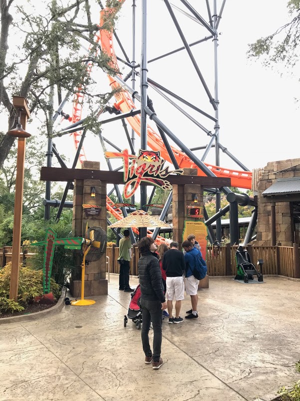 Busch Gardens Tampa: atracciones principales y consejos para disfrutar