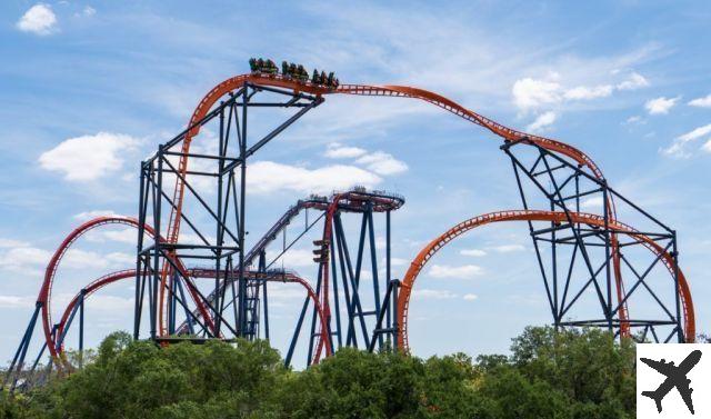 Busch Gardens Tampa: atracciones principales y consejos para disfrutar