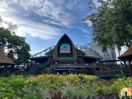 Busch Gardens Tampa – Meilleures attractions et conseils pour en profiter