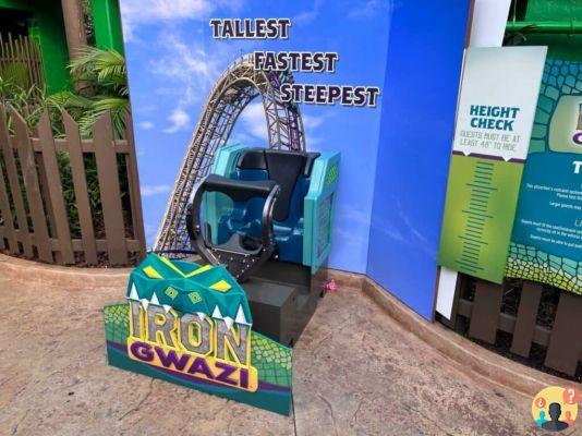 Busch Gardens Tampa – Meilleures attractions et conseils pour en profiter