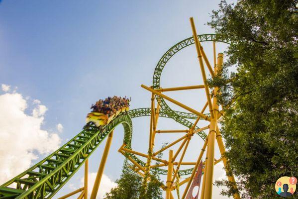 Busch Gardens Tampa – Meilleures attractions et conseils pour en profiter