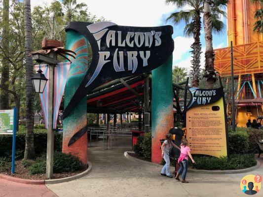 Busch Gardens Tampa – Meilleures attractions et conseils pour en profiter