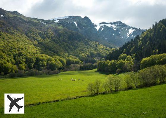 Visiter la Réserve naturelle nationale de la vallée de Chaudefour : réservations & tarifs