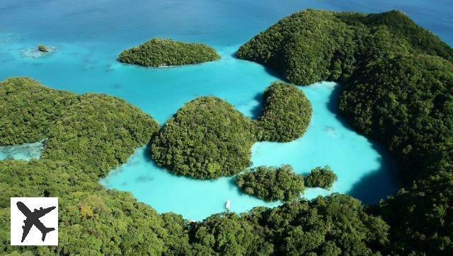 Le tourisme bleu aux Palaos