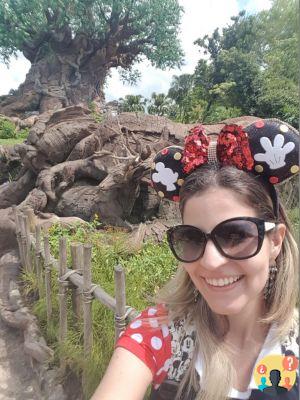 Animal Kingdom – Tips for making the most of the park