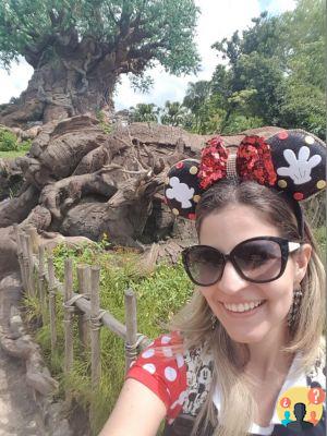 Animal Kingdom – Conseils pour profiter au maximum du parc