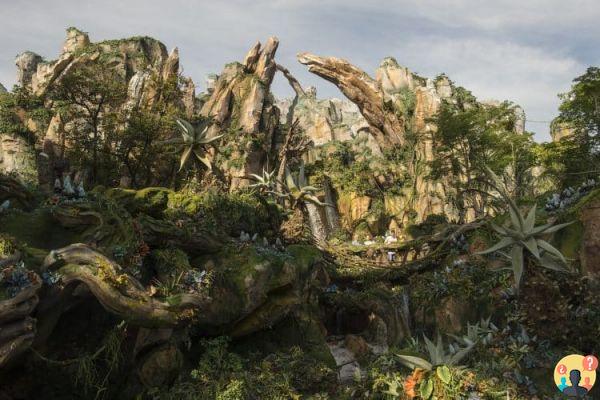 Animal Kingdom – Tips for making the most of the park