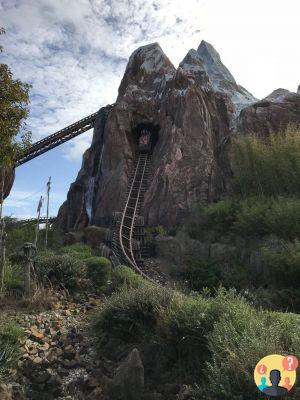 Animal Kingdom – Consejos para aprovechar al máximo el parque