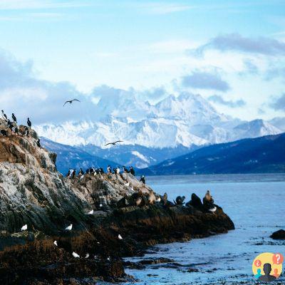 Patagonia Argentina – Guía de Viajes y Destinos Top