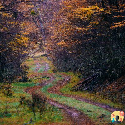 Patagonia Argentina – Guía de Viajes y Destinos Top