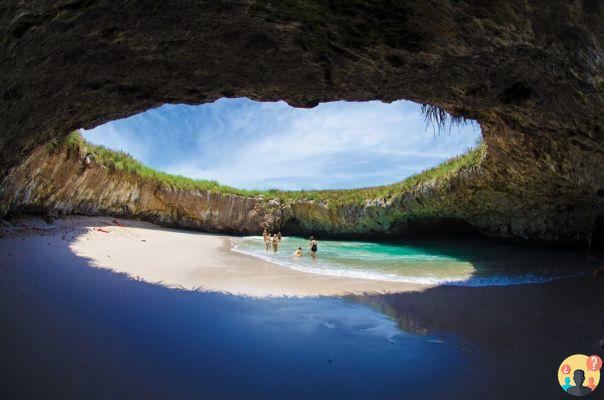 Qué hacer en Puerto Vallarta y Riviera Nayarit