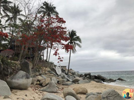 Que faire à Puerto Vallarta et Riviera Nayarit