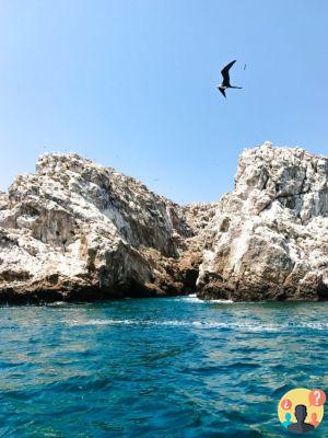 What to do in Puerto Vallarta and Riviera Nayarit