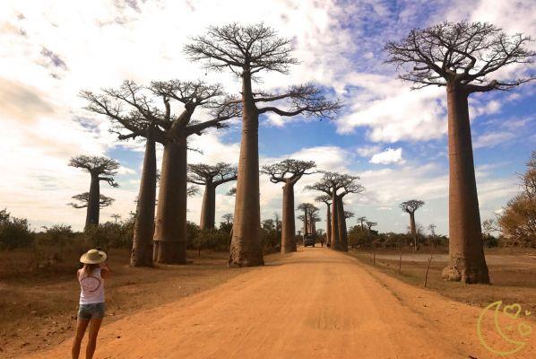 Honeymoon ideas in Madagascar