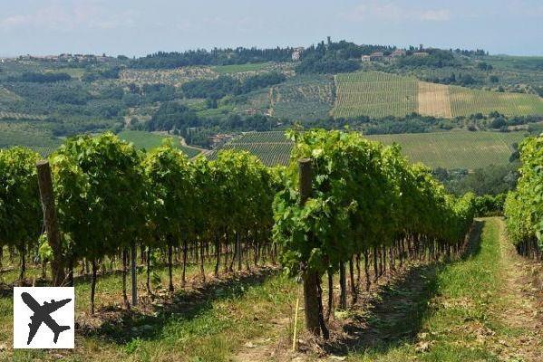 Route des vins en Toscane : 6 idées d’itinéraires pour en profiter