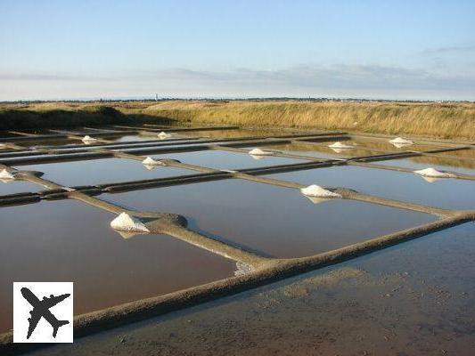 Visitez les Marais Salants de Guérande depuis La Baule