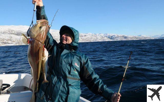 Battute di pesca in Norvegia