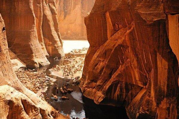 La Guelta d'Archei, a surprising oasis in Chad