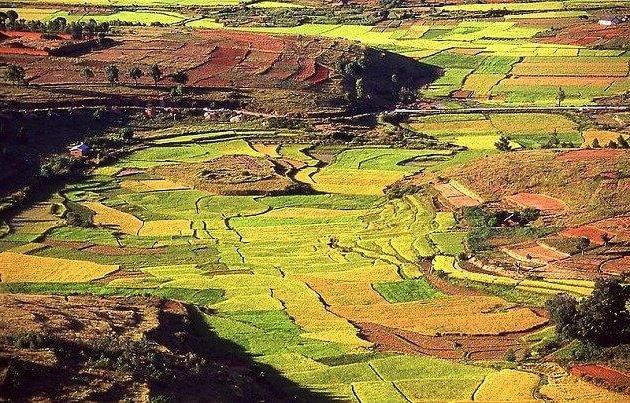 Les hauts plateaux de Madagascar