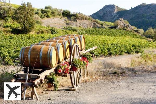 Les 8 plus beaux vignobles d’Occitanie