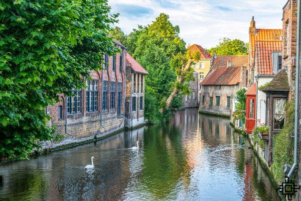 Mejores free tours brujas gratis