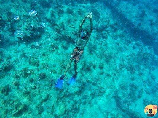 San Andrés en Colombia – Aprende todo sobre el paraíso colombiano