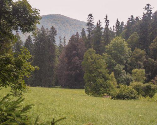 Itinerario de Transilvania en 4 días: qué ver, dónde comer y dónde dormir