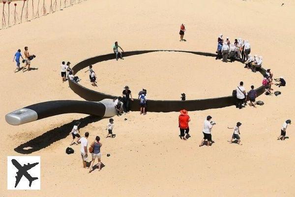 Sculpture by the Sea: une exposition en plein air à Bondi Beach