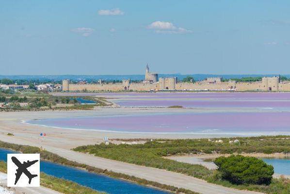 Visiter les Salins du Midi : réservations & tarifs