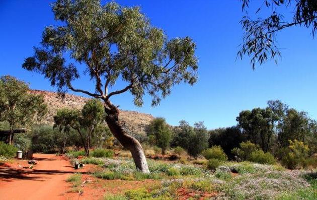 Dans quel quartier loger à Alice Springs ?